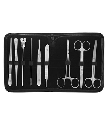 SISTEMA DE  DISECCION